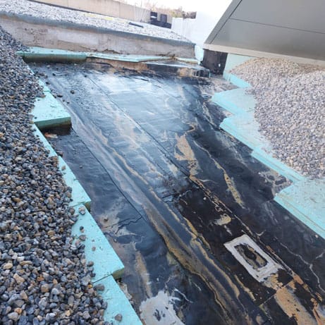 273809424_4834486556609705_6882418913786584772_n